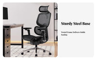 Adjustable Ergonomic Chair Support for Study Room, Remote Workers, Adults