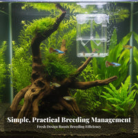 Buoyant Aquatic Breeding Box Suction Holder Mount Aquatic Breeder Box Fry Hatchery Double Placement for Aquarists