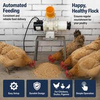 automatic poultry feeder