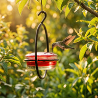 Hummingbird Feeder with Glass Reservoir Compact for Balcony