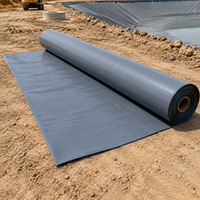 HDPE Waterproof Sheet Impermeable Sheet Black Geomembrane For Aquaculture Ponds Reservoirs Agricultural Ponds