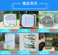 Foldable Insect Rearing Cage with Transparent Observation Window