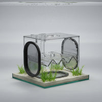 Aquatic Breeding Box Isolation Aquatic Hatchery Easy to Clean