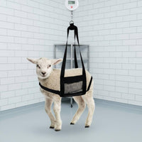 Heavy Duty Nylon Lamb Weighing Sling Adjustable Straps Livestock Scale Sling Strong Buckle Livestock Lifting Harness Breathable Mesh for Farmers, Veterinarians, Farm, Veterinary Medical Facility