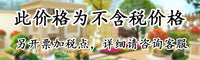 跨境太阳能发光树脂小屋户外庭院花园装饰小夜灯童话氛围创意摆件