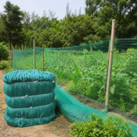 Bird Netting, Bird Repellent Net, Nylon, 500m Roll, 3cm Mesh, For Home Vegetable Gardens, Gardening, Green