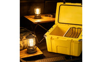 Hard-Sided Cooler with Basket Long-Lasting Insulated Cooler Box Easy to Clean Portable Ice Box Water-Repellent for Camping, Fishing, Road Trips