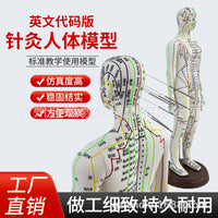 52CM Acupuncture Meridian Human Body Model with Acupuncture Points for Practice
