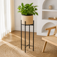 Iron Flower Stand, For Houseplants, Black, Planter Stand, Living Room, Window Side, Fits Small Spaces