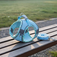 Dog Harness and Leash Set Lightweight Effortless-Entry Puppy Harness Quick Release Buckle Breathable Mesh Pet Vest for Small Dogs, Young Dogs, Outdoor