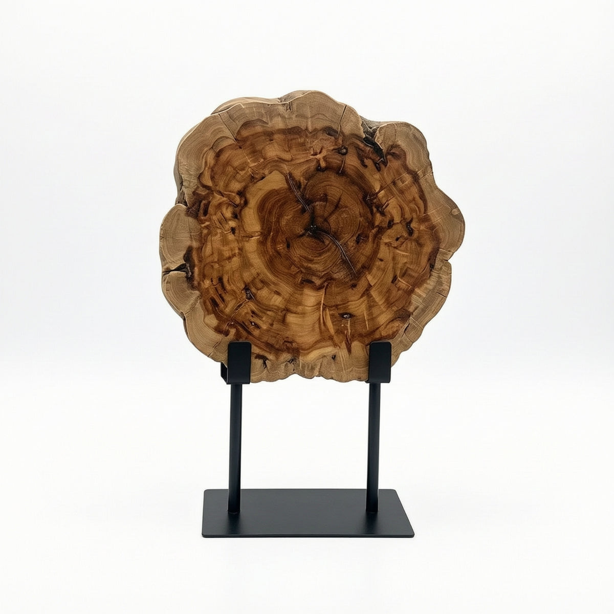Wood Slice on Stand Natural Ornament Kiln-Dried for Entryway