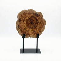 Wood Slice on Stand Natural Ornament Kiln-Dried for Entryway