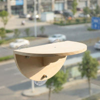 Cat Hammock Window Perch with Suction Cup Cat Bed, Solid Wood Half Oval Swing for Indoor Sunbathing Viewing, Simple Style Non-Foldable Design