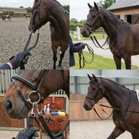 Woven Strapping Lead with Snap Hooks Flat Horse Lead Rope with Snap Hook Flexible Horse Training Rope Sturdy for Riders, Groundwork, Stables