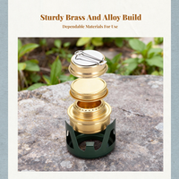 Dual-fuel stainless steel mini stove