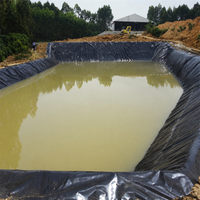 HDPE Geomembrane Pond Liner heavy duty black cuttable for Australian farmers