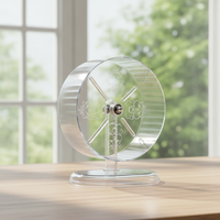 Silent Hamster Exercise Wheel Double-Axis Acrylic Running Wheel with Gentle Slope Anti-Slip Design for Small Hamsters