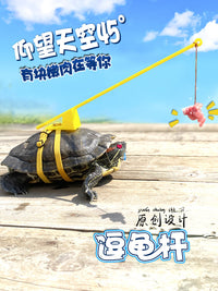 包邮逗龟杆棒遛龟绳溜龟绳小龟牵引绳乌龟绳奔跑吧龟锻炼跑步溜达
