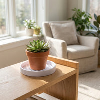 Round Plant Pot Saucer, Plastic, Flower Pot Saucer, For Indoor Gardening, 4cm Height, White