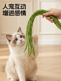 TPR Cat Teaser Toy for Interactive Play