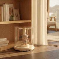 Rotating doll Display Box Clear Display Box with Hooks Space-Saving for Tabletop, Shelf