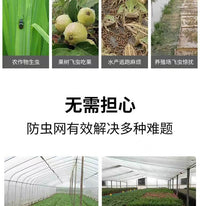 种菜防虫网种菜 农用防虫网农用蔬菜防虫网大棚地种菜专用网 纱网 2.5米宽5米长60目防虫网