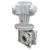 Xinshan HS010 Piston Pneumatic Motor Reducer Low Speed High Torque Explosion-Proof Stepless Speed Reversible