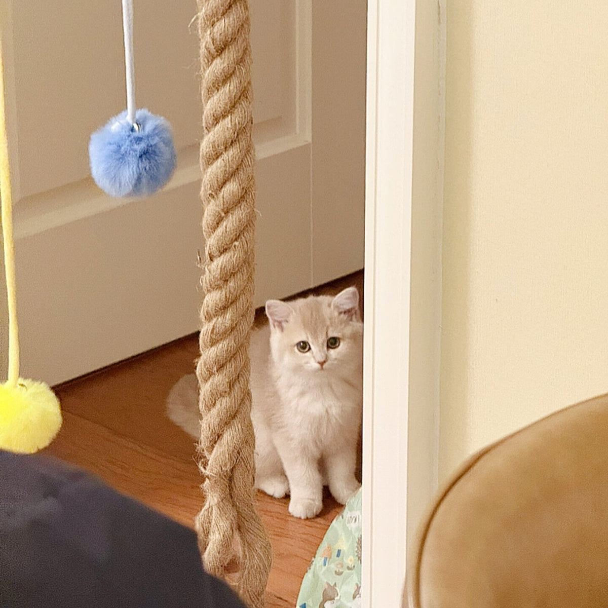 Natural Sisal Rope for Cat Climbing and Scratching