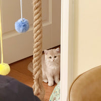 Natural Sisal Rope for Cat Climbing and Scratching