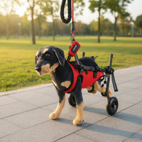 Pet Wheelchair Lightweight Dog Hind Leg Mobility Aid Comfortable Fit