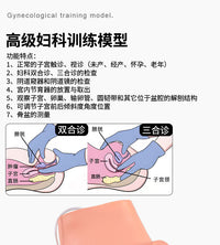 高级妇科训练模型