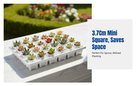 Mini Plastic Square Pot, Sprout Tray, Thumb Base Control, Lithops Nursery, Home Gardening