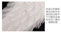 跨境代发天使羽毛翅膀儿童成人表演道具 万圣节派对用品厂家批发