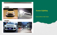 Xenon bulbs, waterproof, plug & play