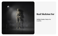 Full Body Skeleton Decoration Easy to Hang Hanging Skeleton Ornament for Yard