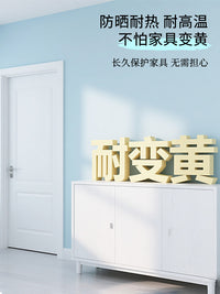 Water-Based Wood Paint Furniture Refinishing Home Self-Brushing Coating Cabinet Old Wood Door Wood Color Change Clear Paint Special Paint