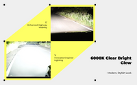 LED Headlight Bulb, High/Low Beam, 6000K, Plug & Play install