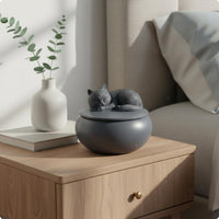 Feline Remains Box Artisanal Feline Urn Hidden Storage for Desktop