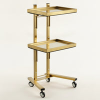 2-Tier Salon Trolley Mobile Beauty Trolley Space-Saving Salon Tray Cart for Hairstylists, Hair Salons