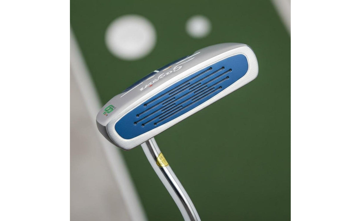 Low Center of Weight Alignment Line Putter Standard Size Practice Putter Putting Alignment Tool for Beginners, Training