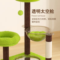 彩色太空舱猫爬架猫窝猫不占地猫咪玩具猫爬架子