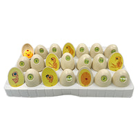 Chick Life Cycle Educational Toy for Kids 4-6 Years, DIY Science Kit