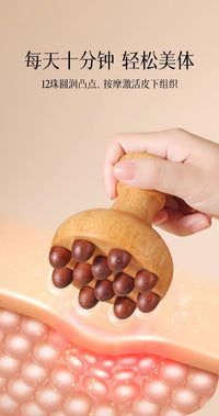 Beechwood Meridian Brush for Body Massage