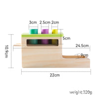 Montessori Wooden Permanent Box Coin Box Tissue Box Shape Sorter Toddler Learning Toy Column Set