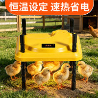 小鸡育雏亭宠物育雏器取暖器冬天鸡鸭加热器雏鸡暖风机保温加热板 美规