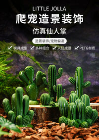 爬虫饲养箱装饰组合摆件沙漠场景微场景仿真植物仙人掌模型无刺耐