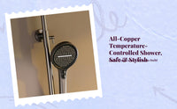 Brass high-pressure shower set