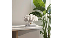 Coral Sculpture with Base Coastal Coral Decor Coastal-Themed Tabletop Ornament for Coffee Table, Bookshelf, Tv Stand