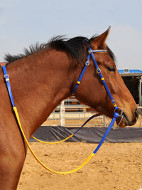 Lacquered Leather Bridle with Browband and Bit Adjustable Horse Reins Equestrian Equipment