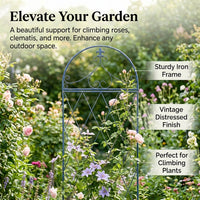 Trellis for Climbing Plants, 111-170cm Iron Garden Support, 50cm Wide Rust-Resistant Plant Trellis, Sweet Pea